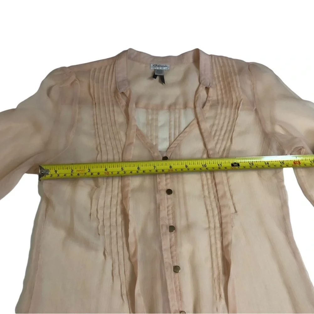 Blush Gauzy Chiffon Sheer Tunic Blouse with Buttons and Pleats - Picture 7 of 16